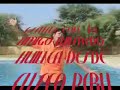 LOS GENIALES PLUZ PAUB(adios el amor)WWWHUILLCATRE