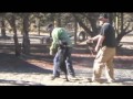 ProDOG Puppy Training