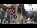 CARL COX King Of Clubs