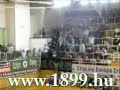 Ferencv�ros - V�c 44-24
