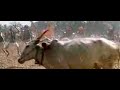 Maayadantha male banthanna - Sevanthi Sevanthi
