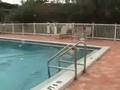 videos de bodor 7-29-08