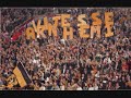 vitesse - 100% anti nek vitesse - 100% anti nek