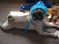 hat time
