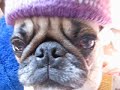 hat time