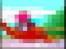 Youtube Poop: Gamelon n\