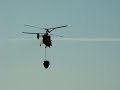 kamov cernache