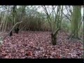 The Photographer (short Film) part 2