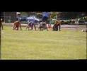 Click here to watch this video 2001 Bright Gift Final