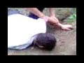 crash dirt bike