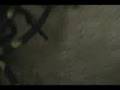 Spiga vs. Ant from DAM part 2