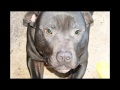 Save Lennox