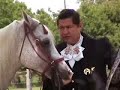 LOS 7 CANDELEROS LOS 7 CANDELEROS