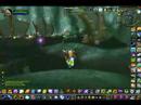 Enhance Shaman PvP Ecm