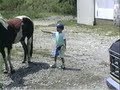 Kicked by a horse