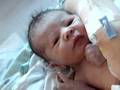 Introducing Juliana Lanore Brouchoud