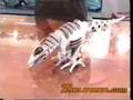 El Roboraptor