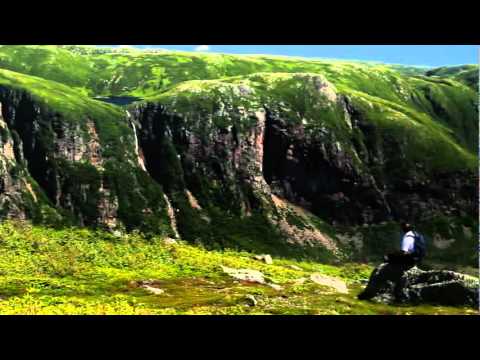 Central region of Gros Morne