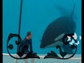 Apercu des shows a Marineland a Antibes, un pur moment de decouverte;sensationnel et émouvant.Hommage aux soigneurs... Merci les Orques et les Dauphins...(mangeons du thon)