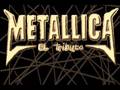 TRIBUTO A METALLICA
