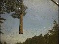 White Pine Crane Removal
