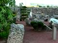 DSCN0221