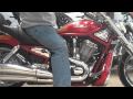 2005 VRSCSE SCREAMIN EAGLE VROD
