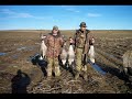 Waterfowl Video