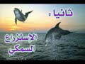 منظومة الفرقة الثانية فيديو 3 ترم ثانى  2006-2007 كلية العلوم الزراعية البيئية بالعريشبالعريش شمال سيناء