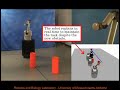 Robotics and Biology Lab Video