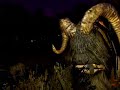 Starwars Galaxies film about drunk pets at parties