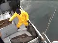 Halibut fishing Halibut fishing