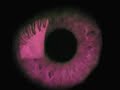 zeitgeist-the-movie-federal-reserve-part-5-of-5.html