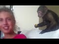 Ирина и обезьяна прикол! Смотреть всем!