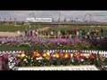 The Flower Fields at Carlsbad 2008