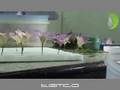 Natural Flowers in Glass - Part 2