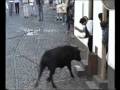 torada mor sarro, sai na rua e dá de cara com o boi....