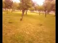 Ni De