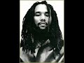 ky-mani marley - sensimillia