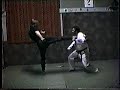 Ninjutsu 1992 Ninjutsu 1992