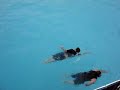 HATEEN - \"1997 e o pulo no WET N´ WILD\" HATEEN - \"1997 e o pulo no WET N´ WILD\"