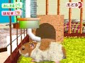 Love Love Hamsters DS