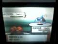 videos de elite 4 bertha part (1/2)