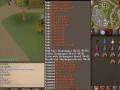 videos de dragon full helm pk drop in pvp omfg pingy45!!!