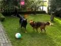 zora und alf neu teil2.mov