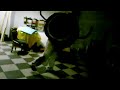 Pata pata pata PON!!!