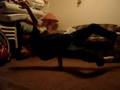 Airchair Hold