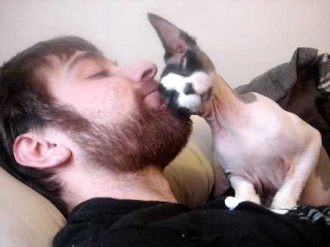 Watch 'Beard makes a good head scratcher'