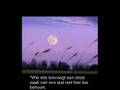 Hadith 5 Nawawi Over Bida (Innovatie)