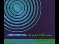 Bekijk muziek clip van Cornershop met Brimful of Asha (Mucho Macho Bolan Boogie mix)